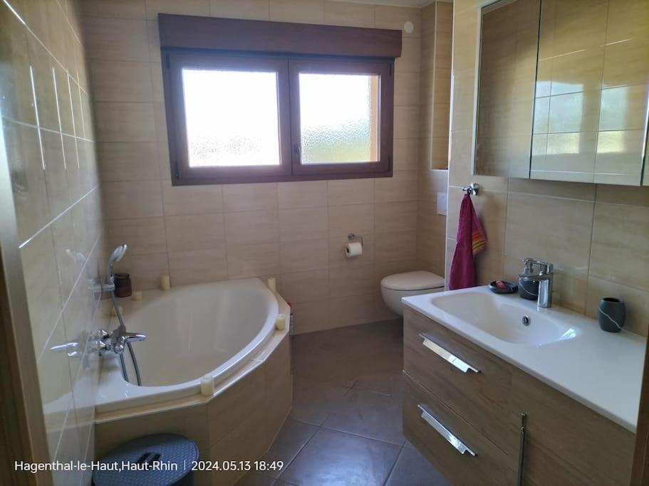 Apartment Einliegerwohnung Hagenthal-le-Haut المظهر الخارجي الصورة